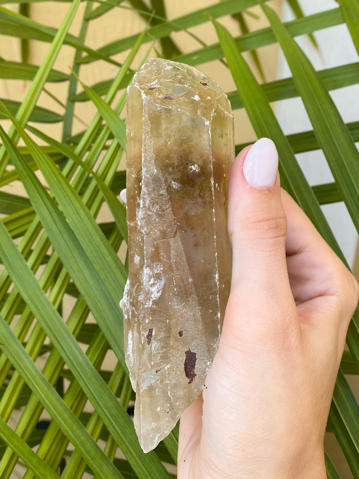 Natural Smoky Citrine Rough Points