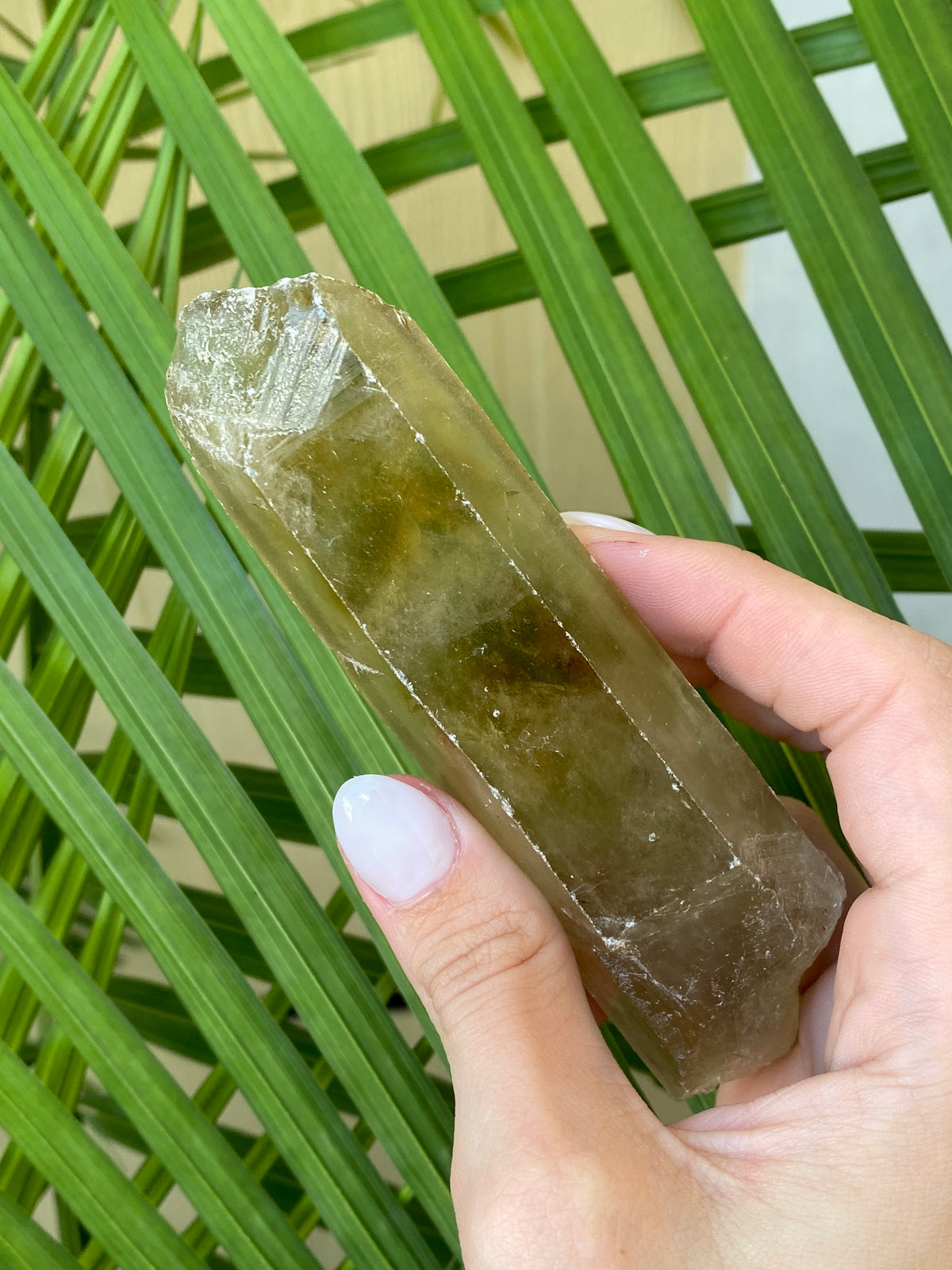 Natural Smoky Citrine Rough Points