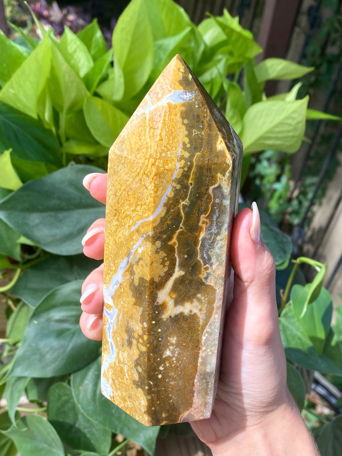 Ocean Jasper Towers