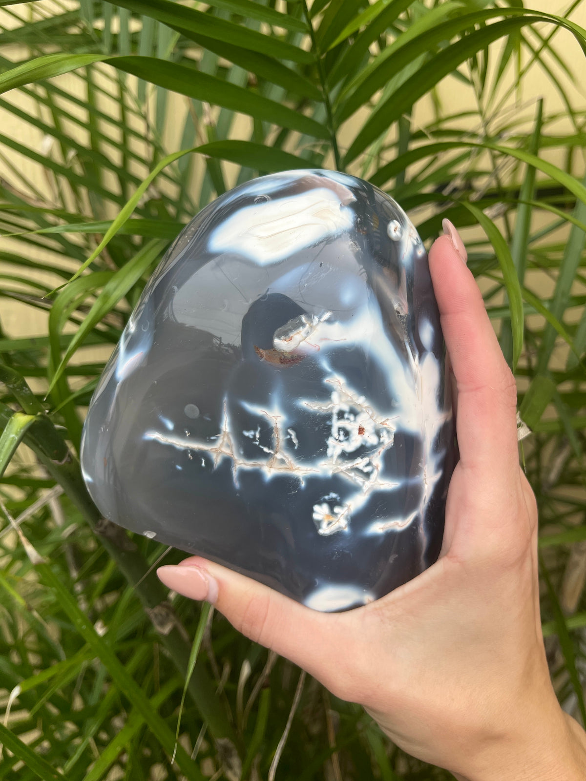 Orca Agate Flows