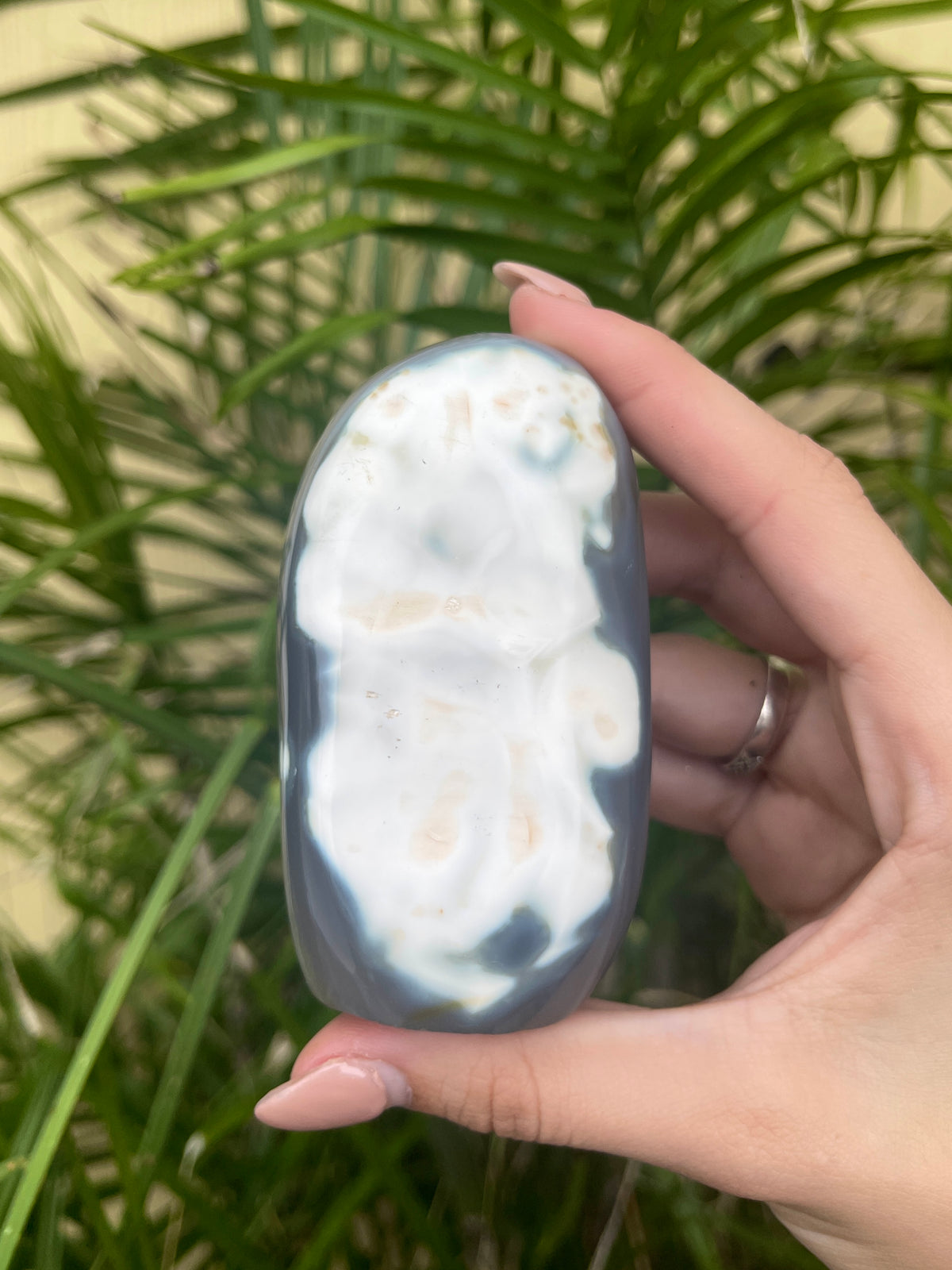 Orca Agate Flows