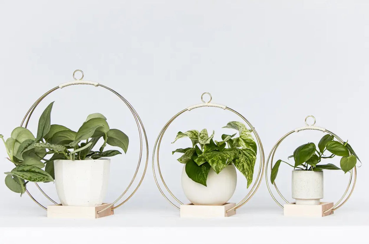 Plant Hanger - Classic Shimmer