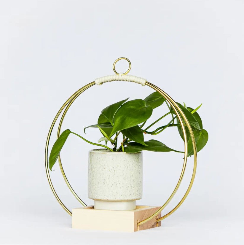Plant Hanger - Classic Shimmer