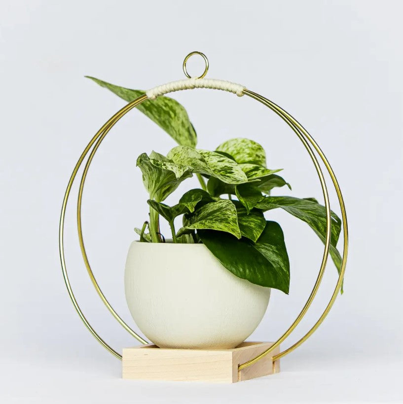 Plant Hanger - Classic Shimmer