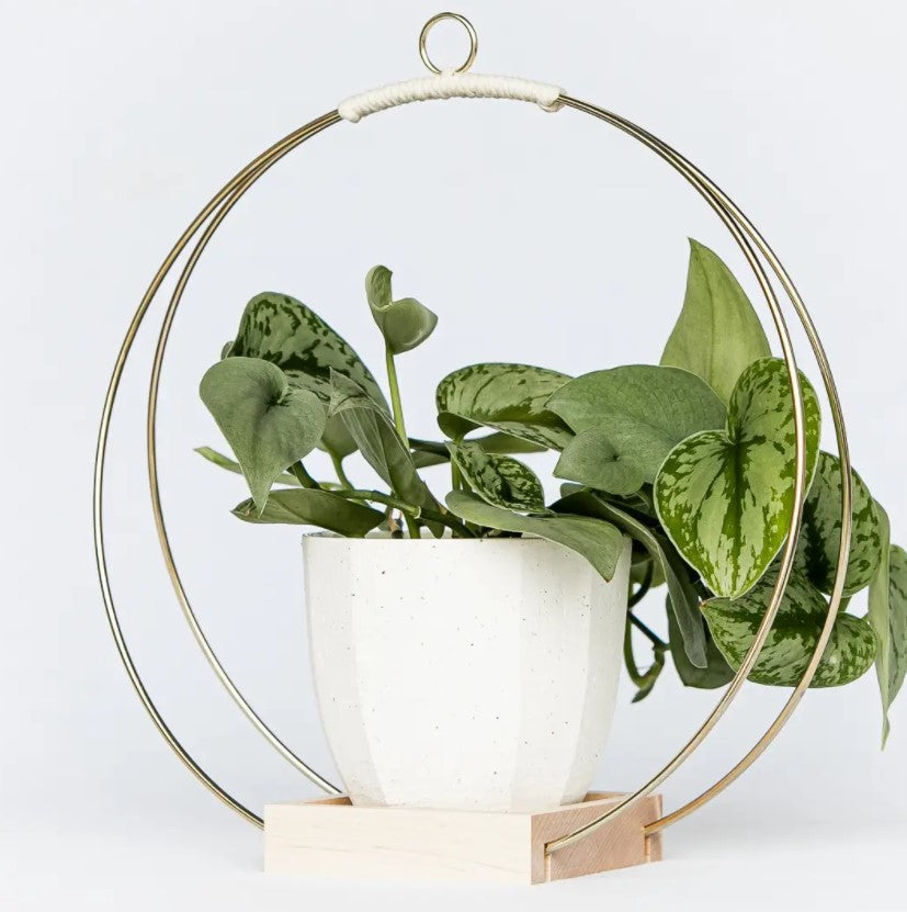 Plant Hanger - Classic Shimmer