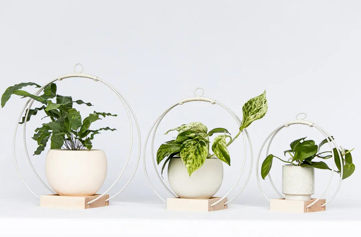 Plant Hanger - Light & Airy