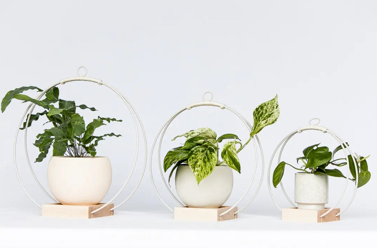 Plant Hanger - Light & Airy