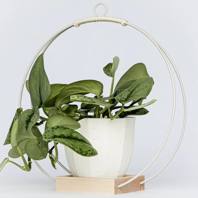 Plant Hanger - Light & Airy