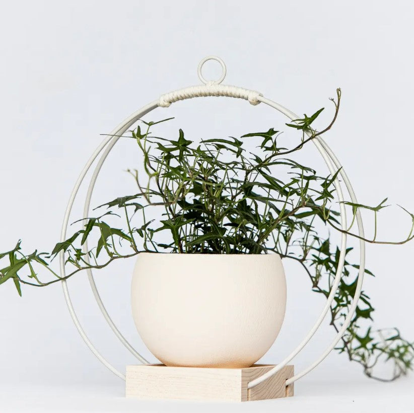 Plant Hanger - Light & Airy