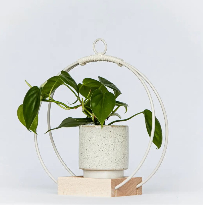 Plant Hanger - Light & Airy