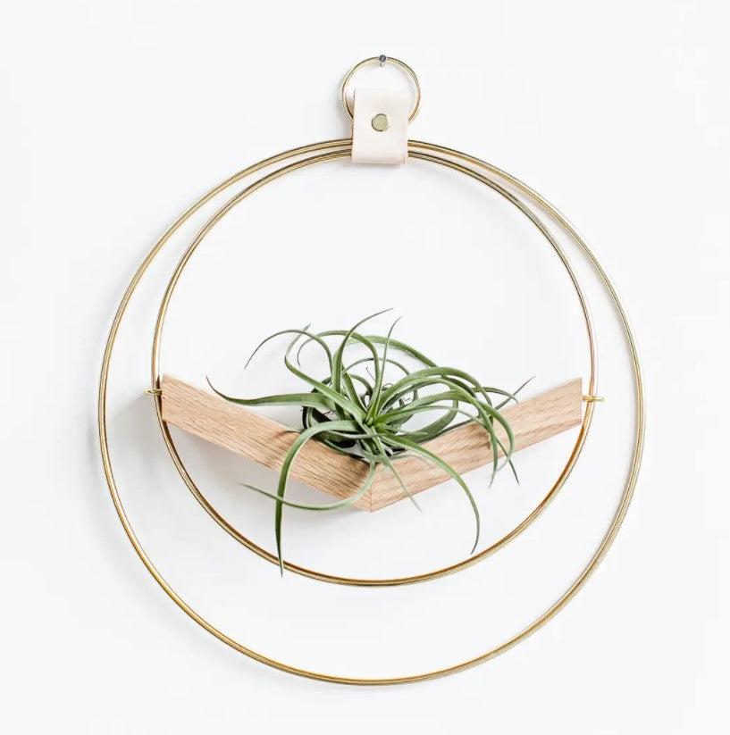 Plant V Hanger - Classic Shimmer