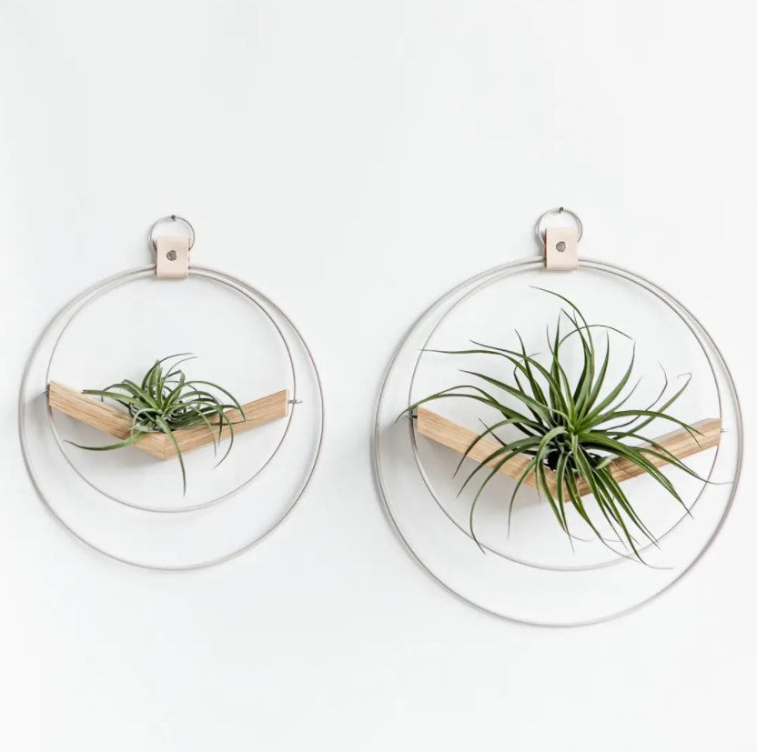 Plant V Hanger - Light & Airy