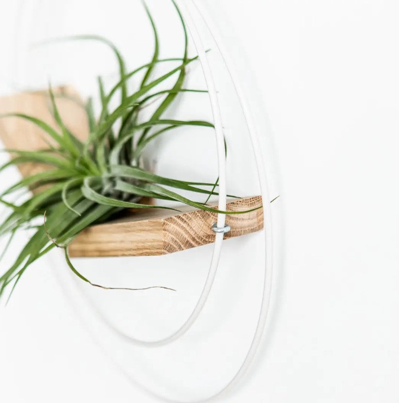 Plant V Hanger - Light & Airy
