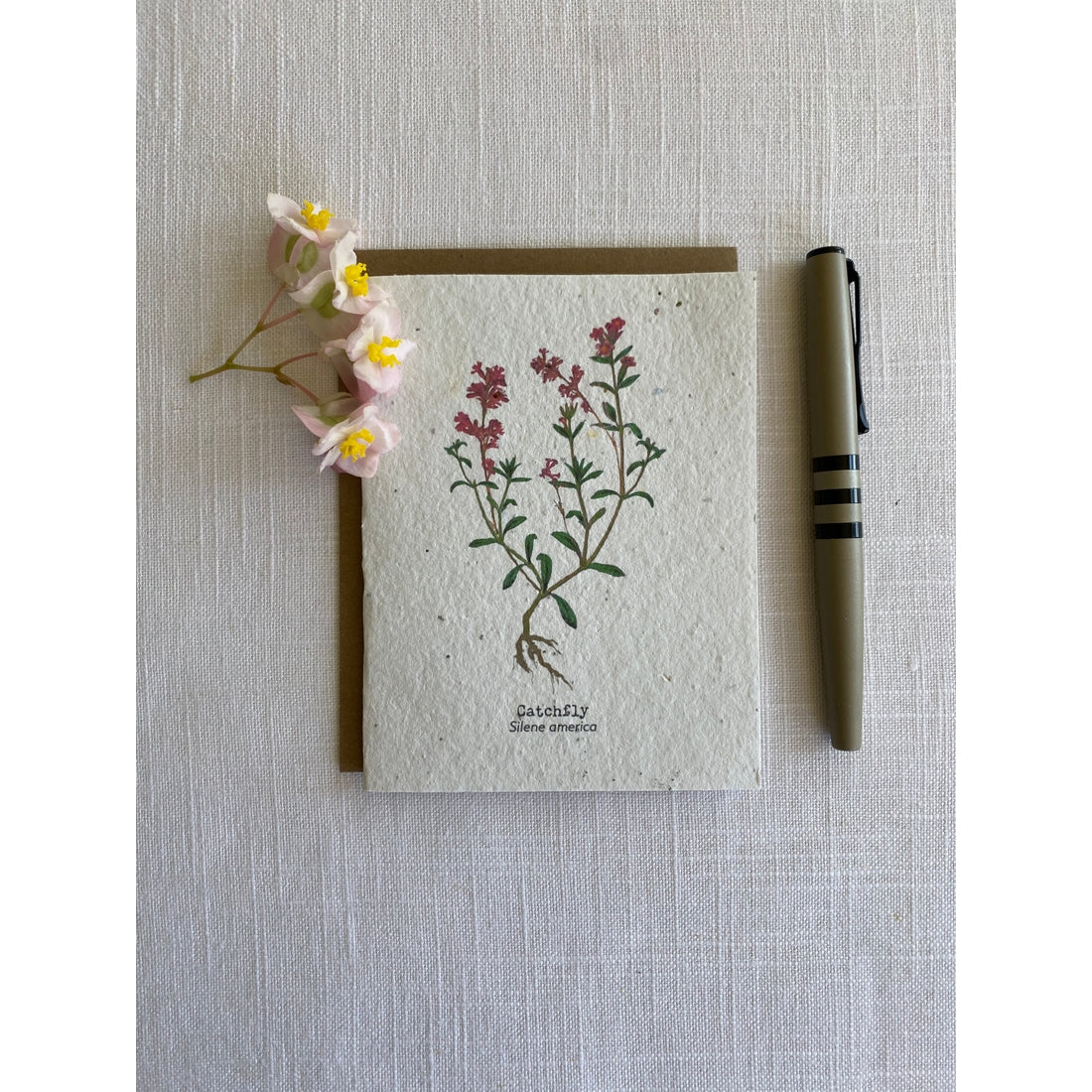 Plantable Wildflower Seed Card - Painted Catchfly