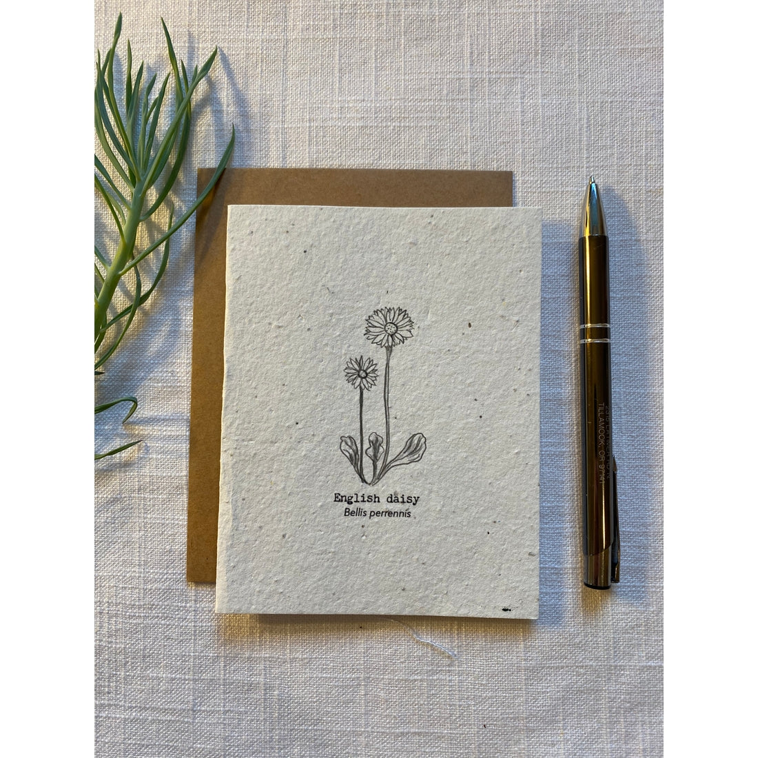 Plantable Wildflower Seed Card - Sketched English Daisy