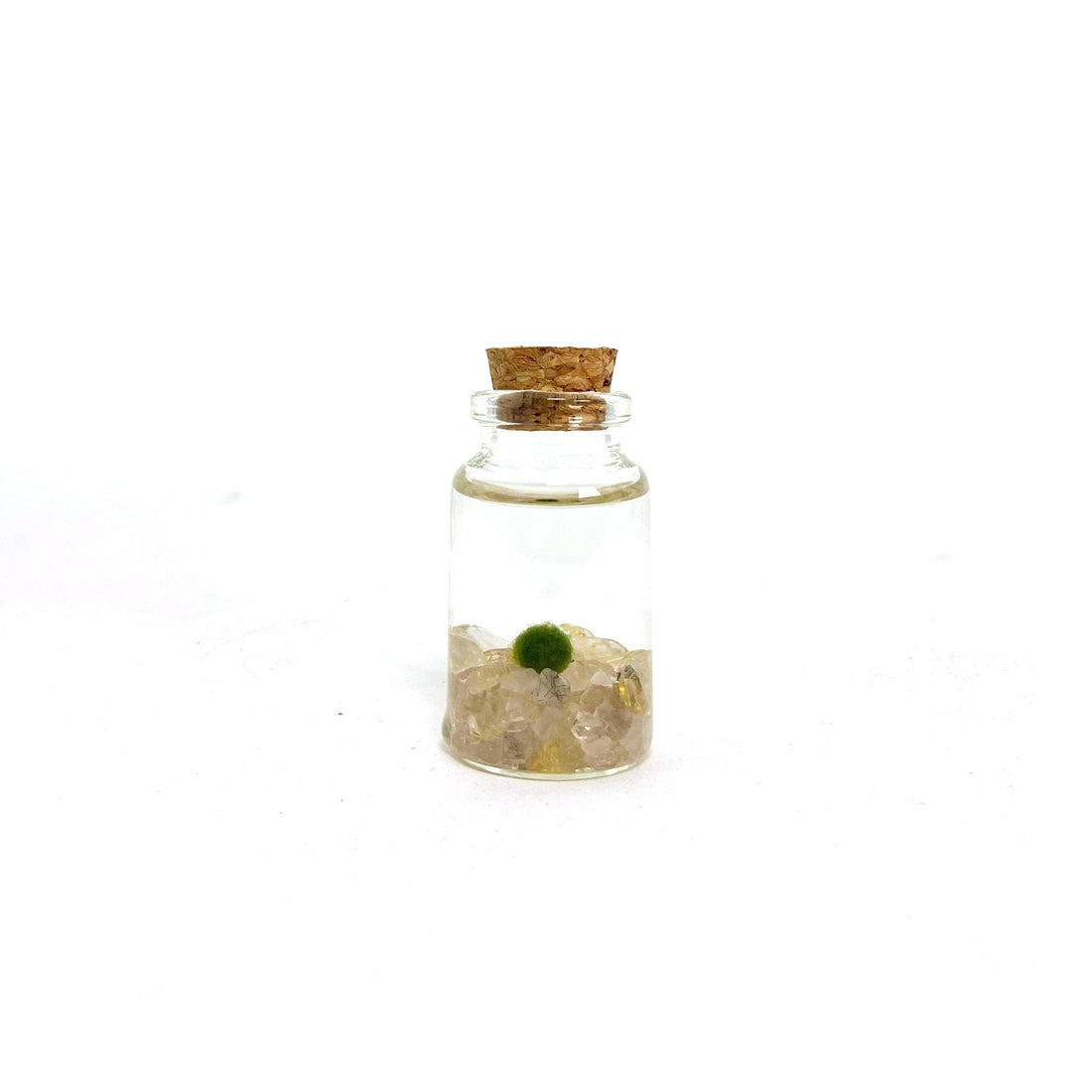 Rutilated Quartz Moss Nino