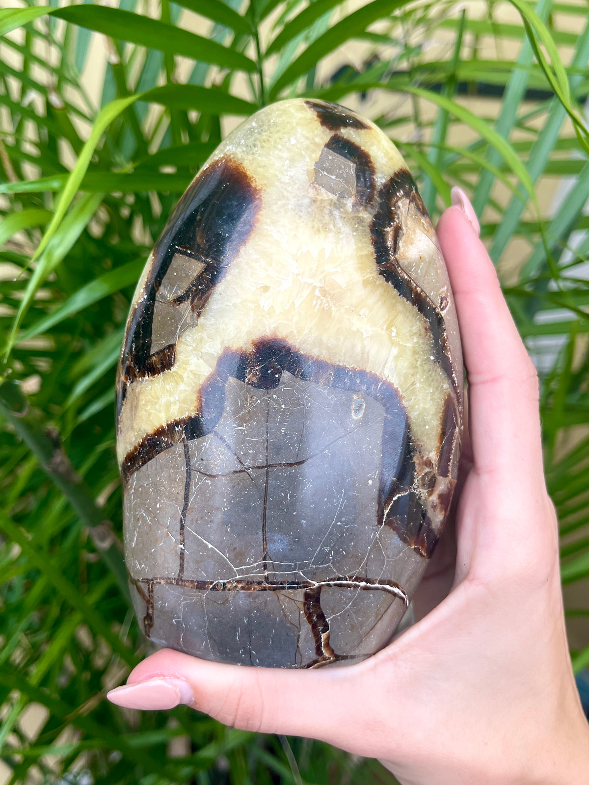 Septarian Flow