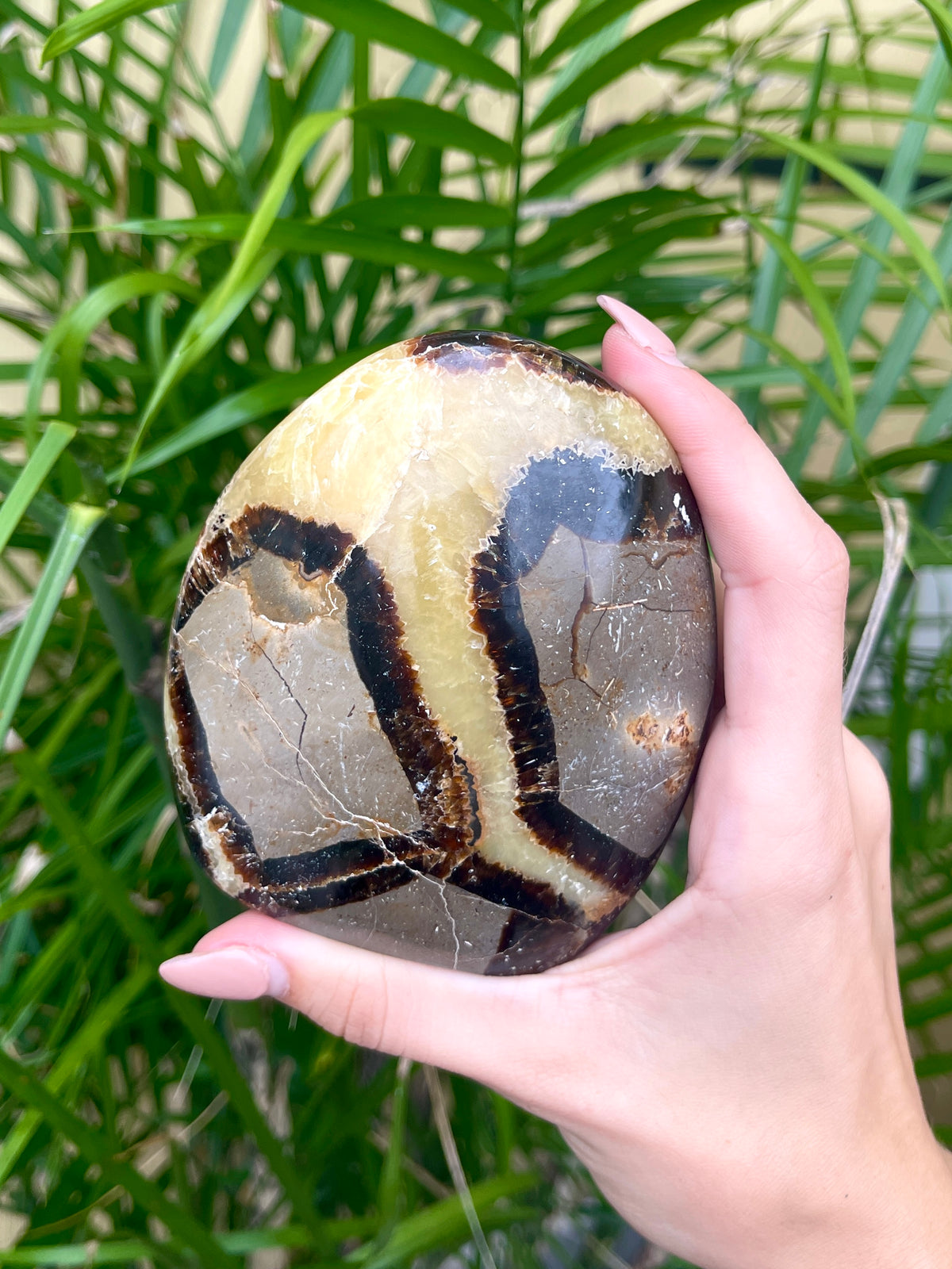 Septarian Flow