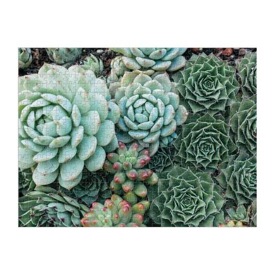 Succulent Garden 500 Piece Puzzle