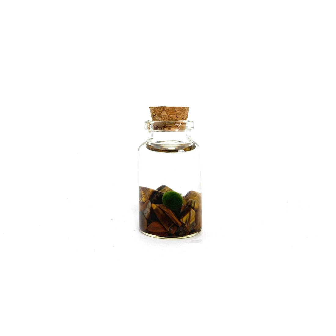 Tiger Eye Moss Nino