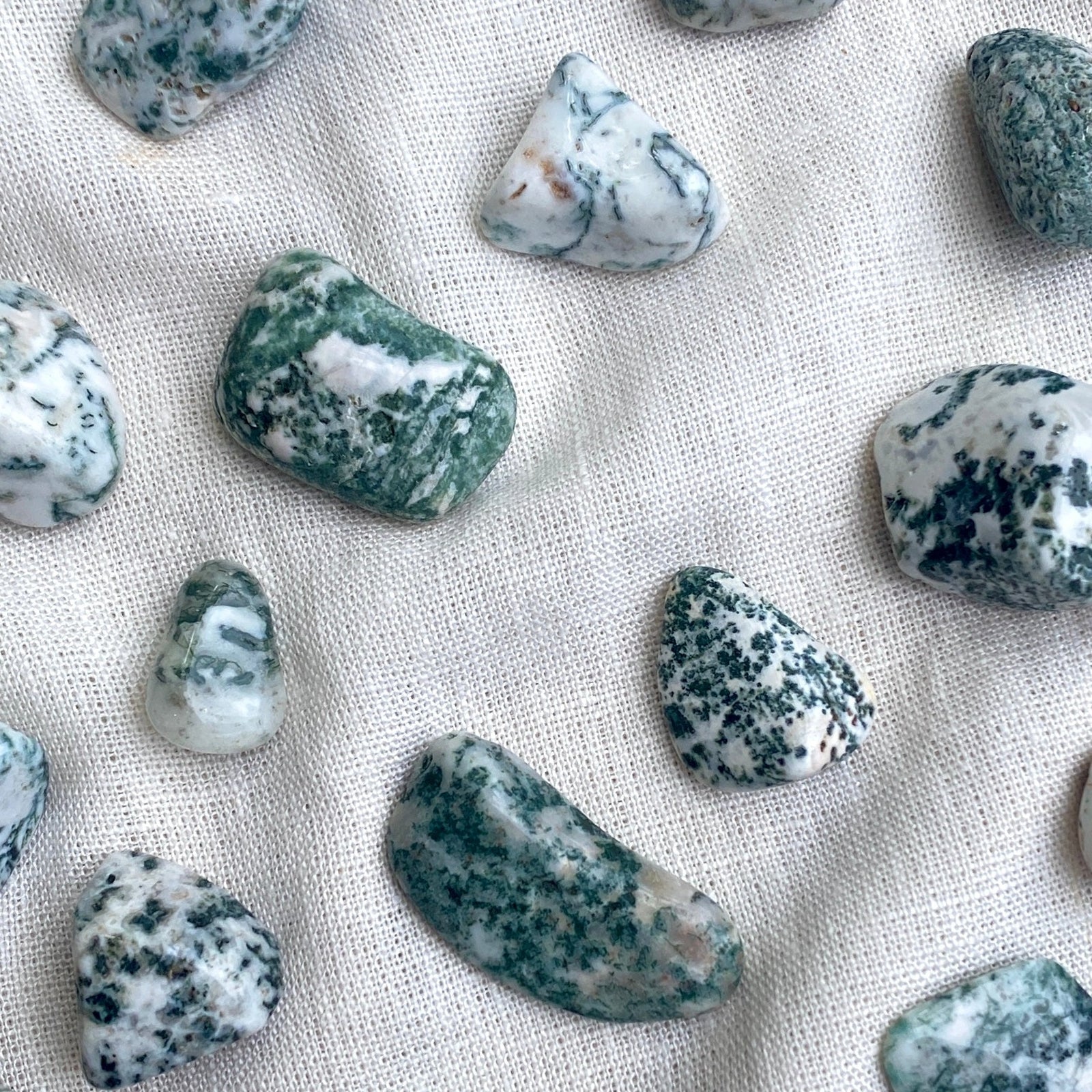 Tree Agate Tumble