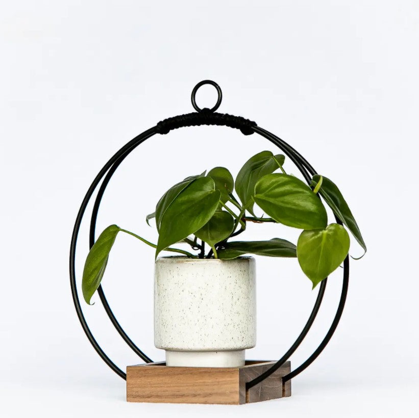 Plant Hanger - Dark & Stormy