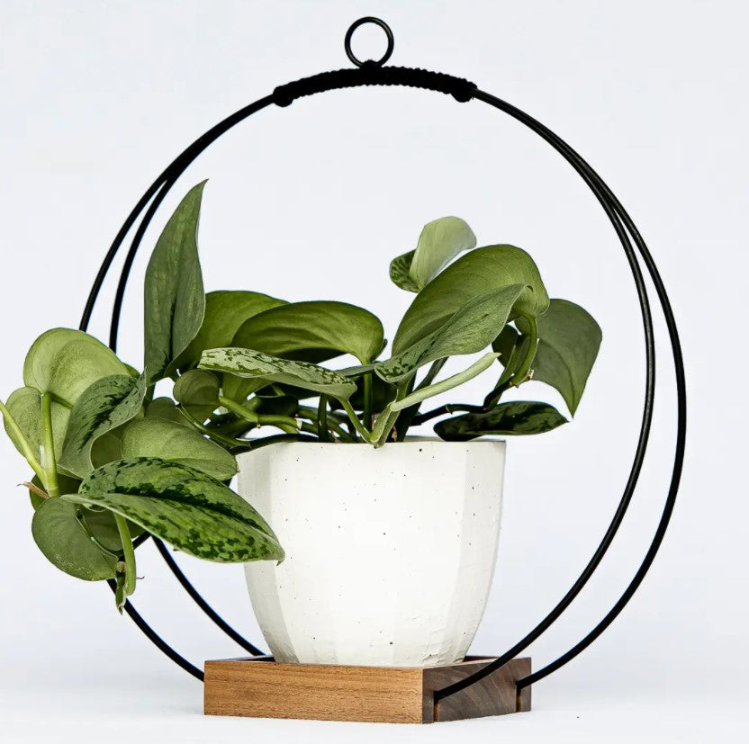 Plant Hanger - Dark & Stormy