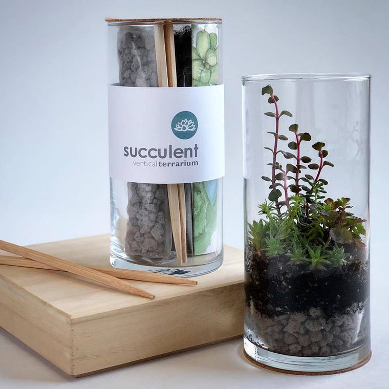 Vertical Succulent Terrarium