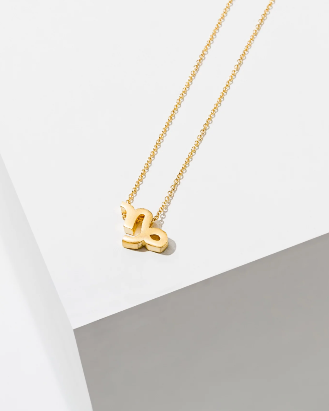 XCapricorn Gold Plated Zodiac Necklace