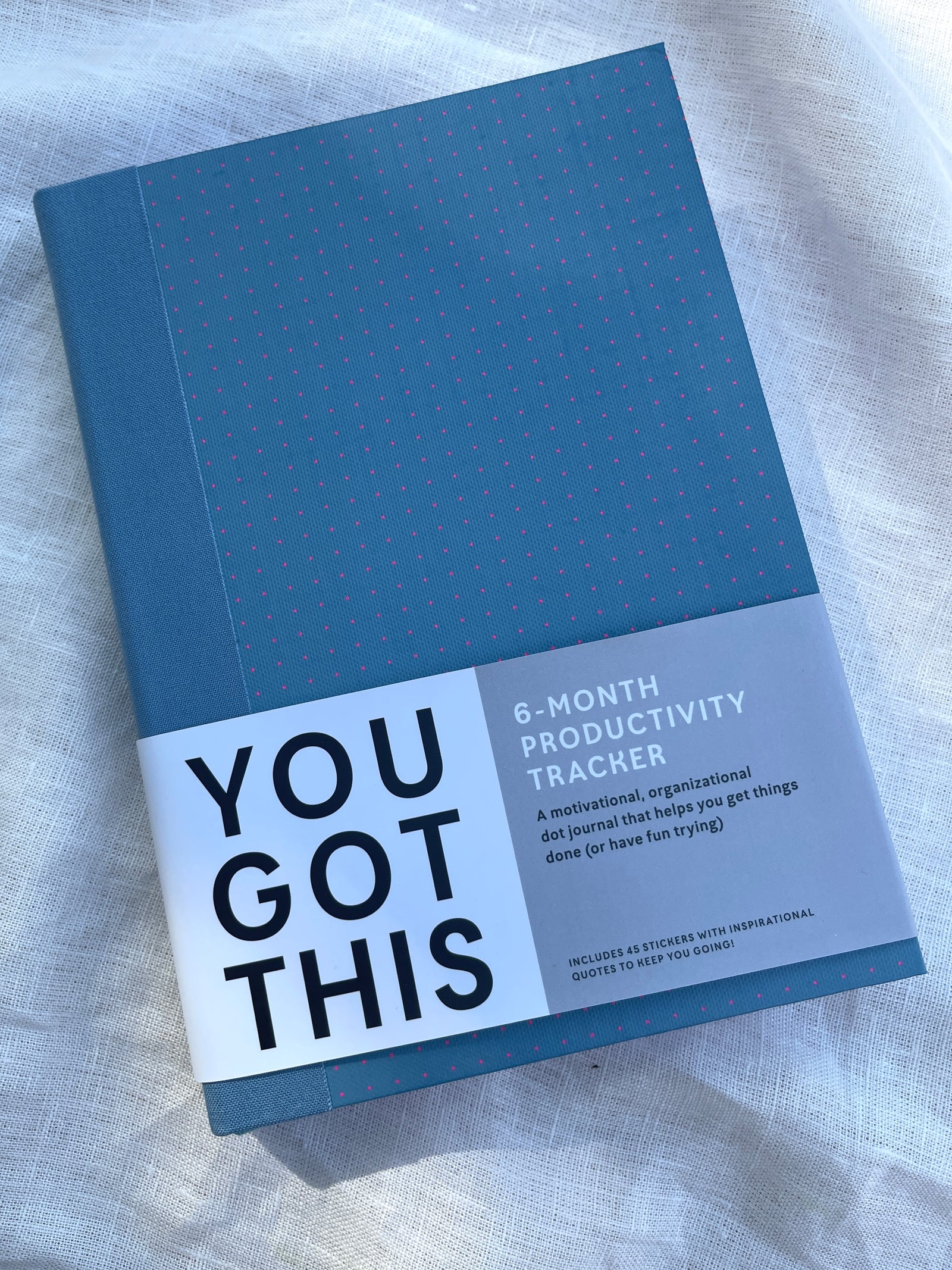 You Got This Productivity Journal